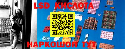 эйфоретик Кимры