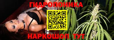 эйфоретик Кимры