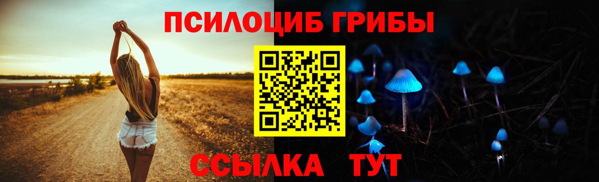 Кандалакша  Псилоцибиновые грибы прущие грибы  Галлюциногенные грибы Magic Shrooms  цена наркотик  Вход с VPN 